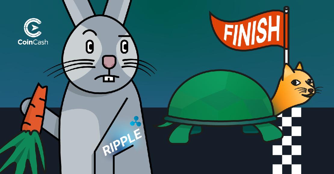 A teknős formába bújt Doge coin és a nyuszi formát öltött Ripple versenye.